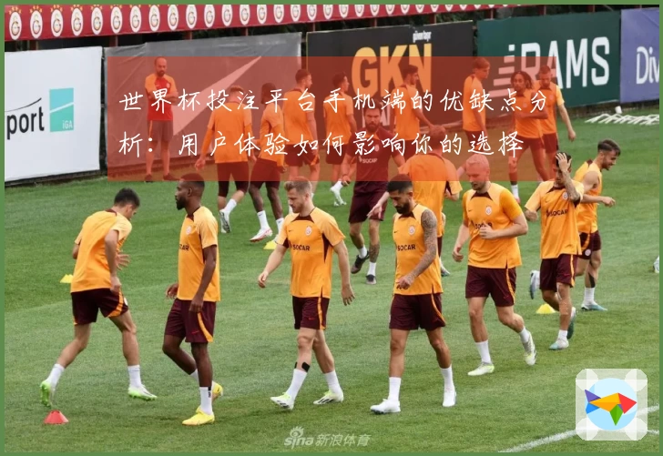 世界杯投注平台手机端的优缺点分析:用户体验如何影响你的选择