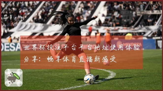 世界杯投注平台平台地址使用体验分享：畅享体育直播新感受