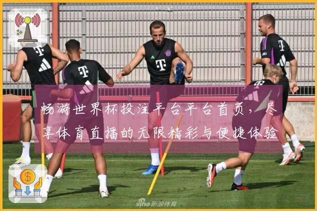 畅游世界杯投注平台平台首页，尽享体育直播的无限精彩与便捷体验