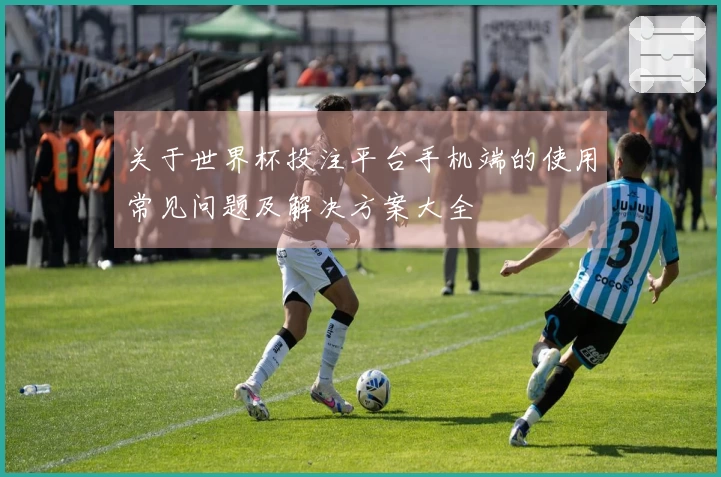 关于世界杯投注平台手机端的使用常见问题及解决方案大全