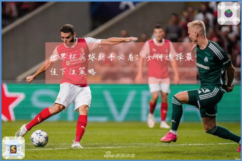 世界杯买球新手必看:如何选择最佳下注策略