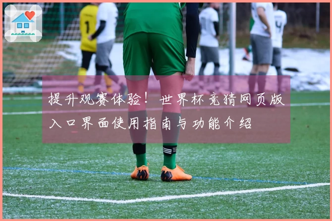提升观赛体验！世界杯竞猜网页版入口界面使用指南与功能介绍