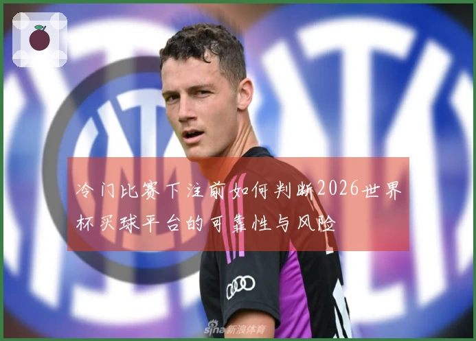 冷门比赛下注前如何判断2026世界杯买球平台的可靠性与风险