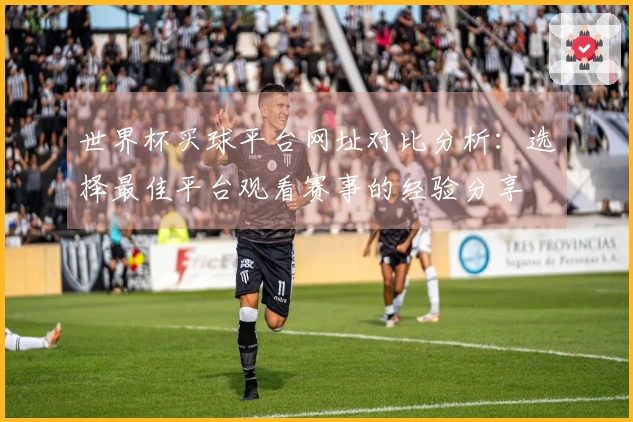 世界杯买球平台网址对比分析：选择最佳平台观看赛事的经验分享