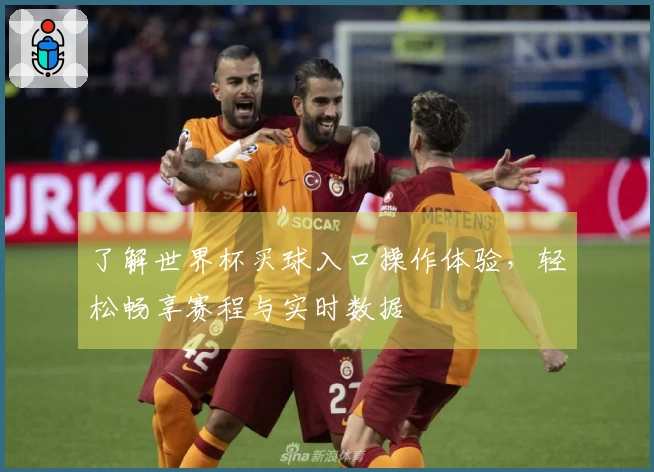 了解世界杯买球入口操作体验，轻松畅享赛程与实时数据