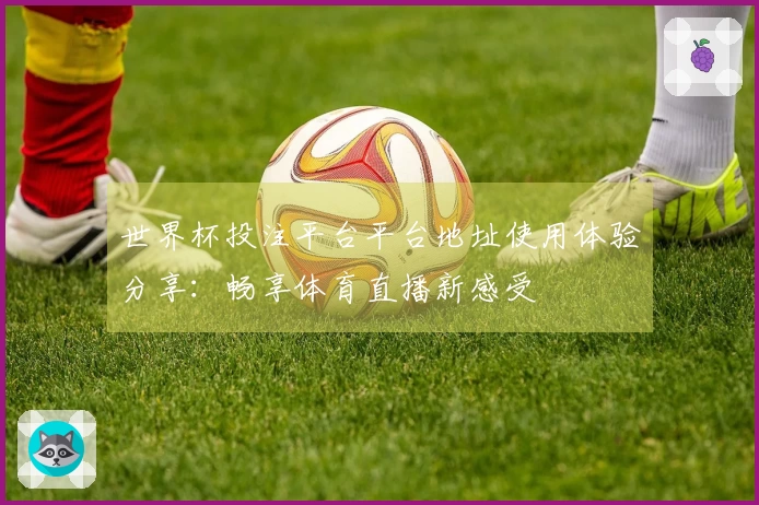 世界杯投注平台平台地址使用体验分享：畅享体育直播新感受