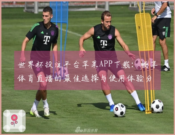 世界杯投注平台苹果APP下载：畅享体育直播的最佳选择与使用体验分享