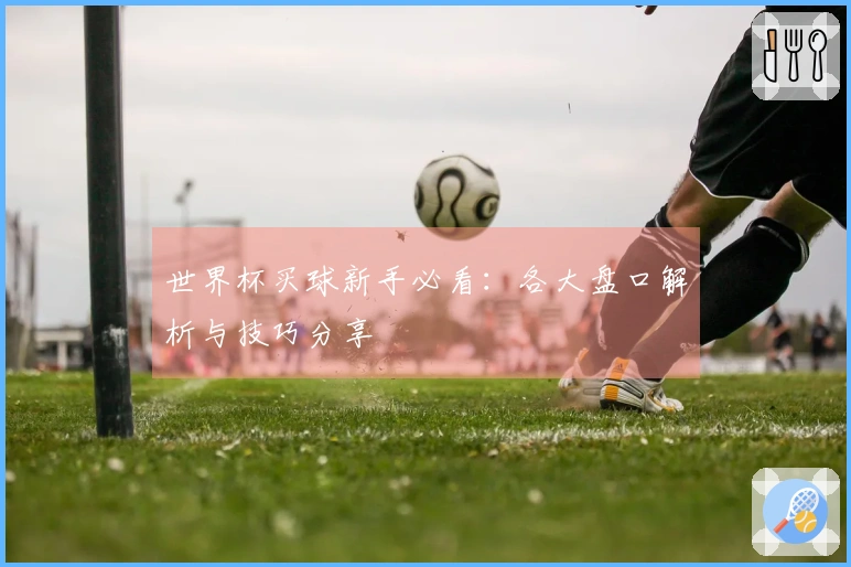 世界杯买球新手必看：各大盘口解析与技巧分享