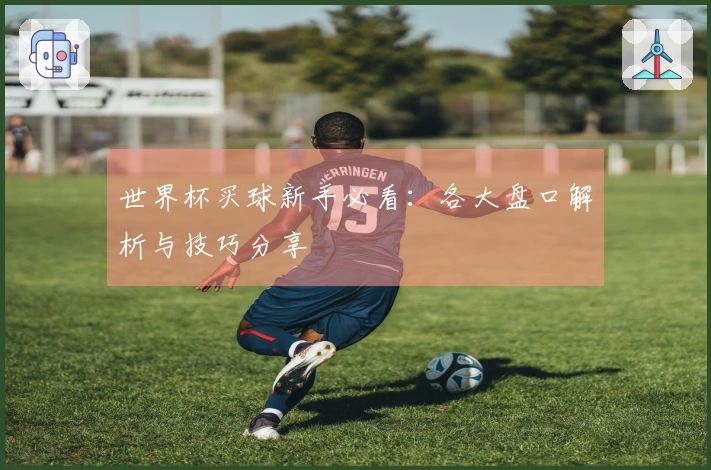 世界杯买球新手必看：各大盘口解析与技巧分享