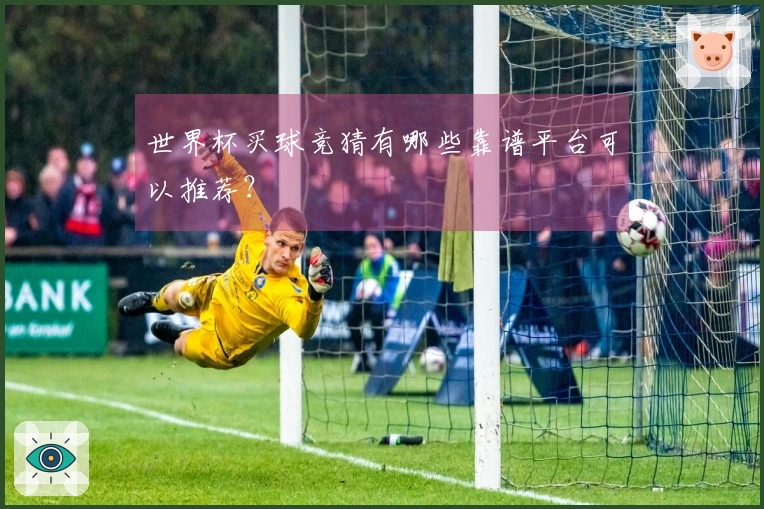 世界杯买球竞猜有哪些靠谱平台可以推荐？