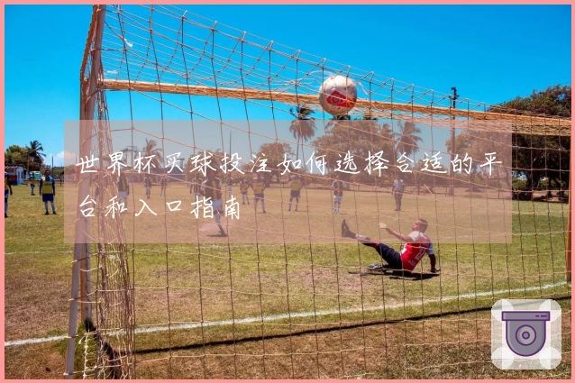 世界杯买球投注如何选择合适的平台和入口指南