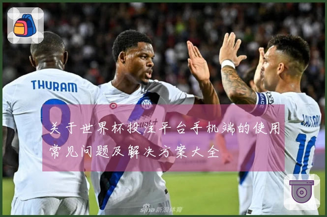 关于世界杯投注平台手机端的使用常见问题及解决方案大全